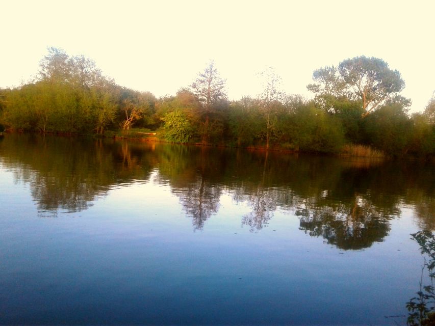 Oxford: Chauffeured Punting River With Optional Walking Tour - Customer Feedback