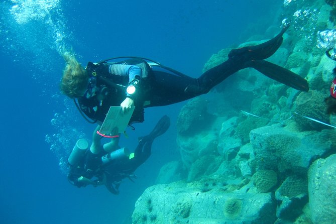 Padi Advanced Open Water Diver Courses (Start at Koh Chang) - Cancellation Policy