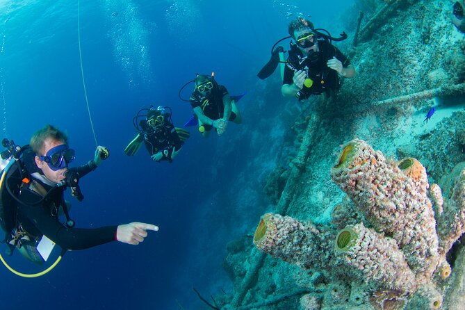 PADI Open Water Course - Next Steps for Enrollment