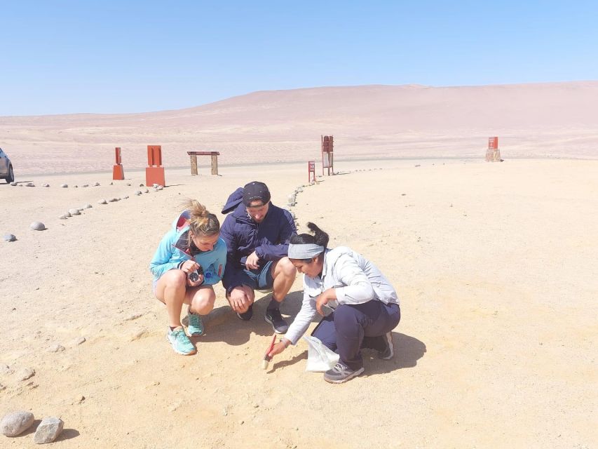 Paracas: Paracas National Reserve Half Day Tour - Booking and Cancellation Policy