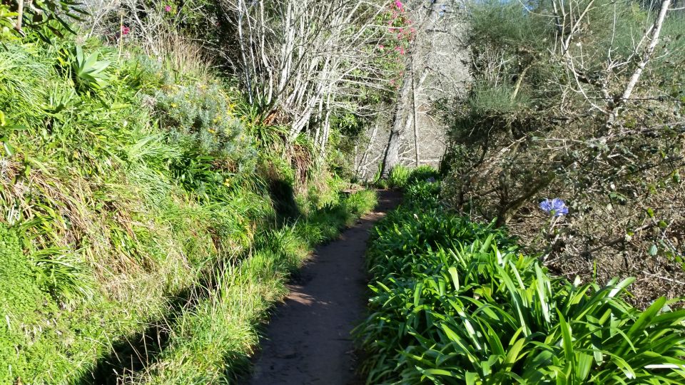 Paradise Valley Half-Day Morning Walk. - Nearby Attractions