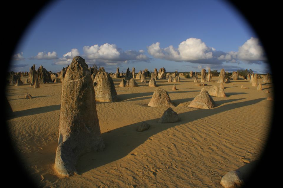 Perth: Pinnacles Desert Bush Walk Guided Tour With Lunch - Customer Reviews