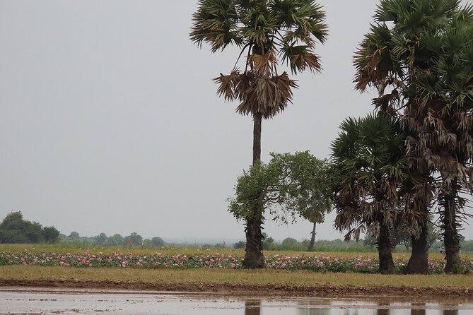 Phnom Penh Countryside Cycle Tour - Traveler Experiences