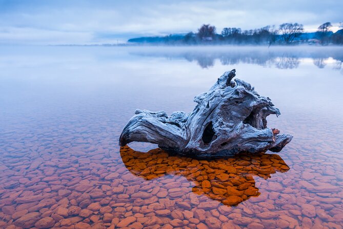 Photography Tour From Queenstown to Glenorchy - 1/2 Day - Reviews From Previous Participants