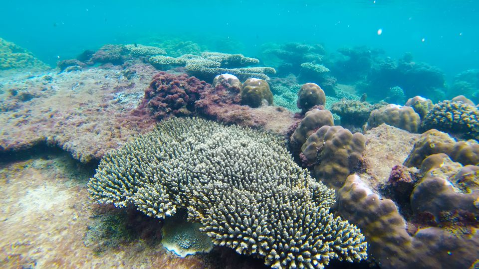Phu Quoc Trip 3: 3 Islands Full-Day Snorkeling Tour - Customer Reviews