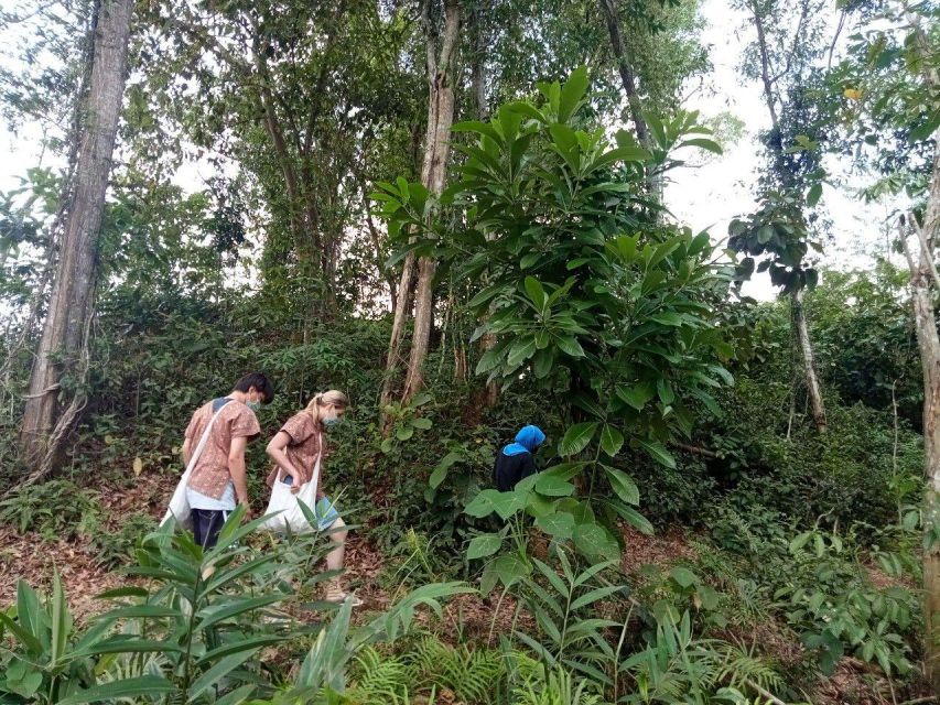 Phuket: Ethical Elephant Sanctuary Eco Guide Walk Tour - Preparing for the Elephant Walk