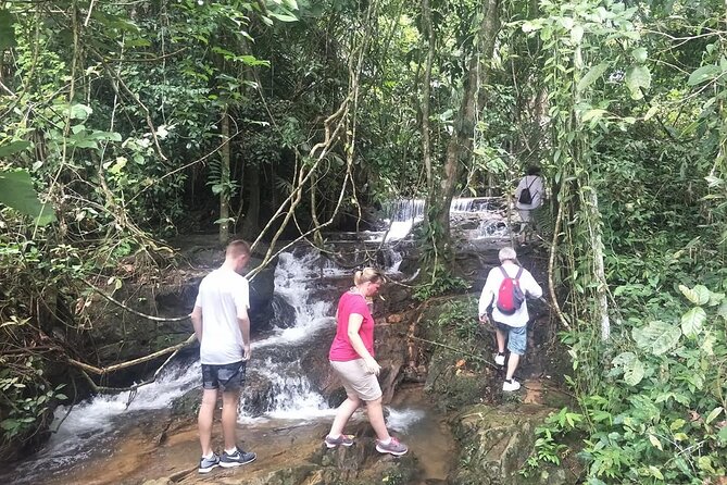 Phuket Jungle Trekking Experience at Khao Phra Taew National Park - Trekking Tips