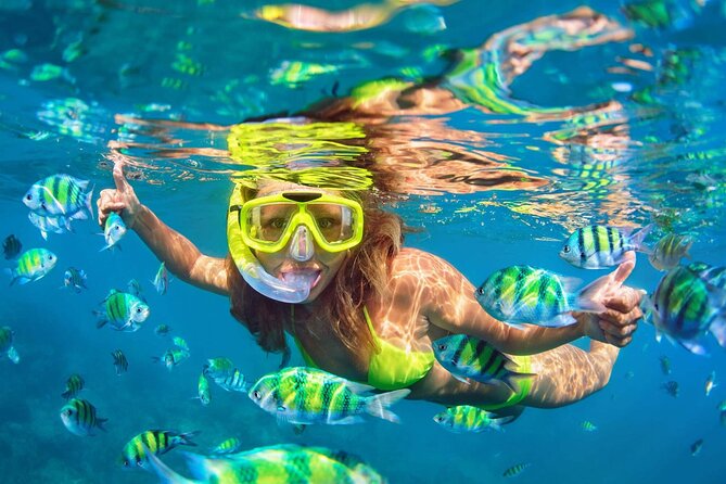 Phuket Premium 3 Khai Islands Snorkeling and Relaxing Tour - Traveler Feedback