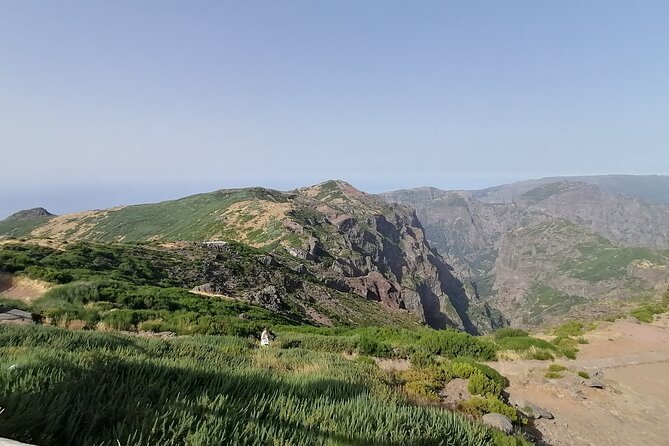 Pico Do Arieiro / Pico Ruivo - Flora and Fauna Insights