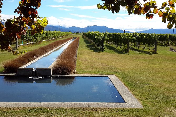 Picton CRUISE SHIP Shore Excursion Marlborough Wine Tour - Tips for Booking