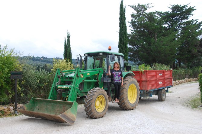 Pienza, Val Dorcia, Montalcino Wine and Pecorino Cheese PRIVATE TOUR From SIENA - Traveler Experiences