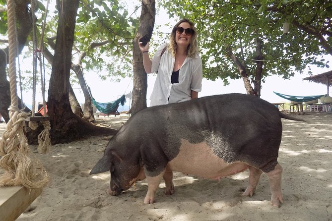Pig Island Snorkeling & Sightseeing Tour By Speedboat From Koh Samui - What to Expect on Tour