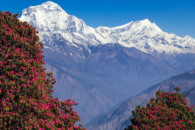 Pokhara: 4 Days Poon Hill and Ghandruk Trek - Safety and Accessibility