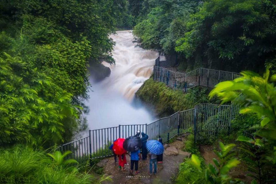 Pokhara: Devis Fall, Cave, and Pagoda Hill Half-Day Tour - Customer Reviews and Ratings