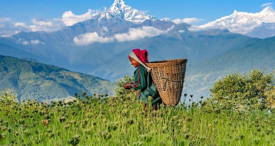 Pokhara: Guided Day Hike From Dampus To Australian Base Camp - Trail Details and Terrain