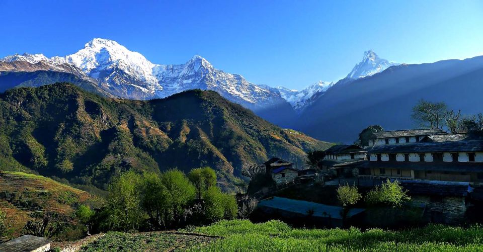 Pokhara: Poon Hill and Annapurna Base Camp Private Trek - Frequently Asked Questions