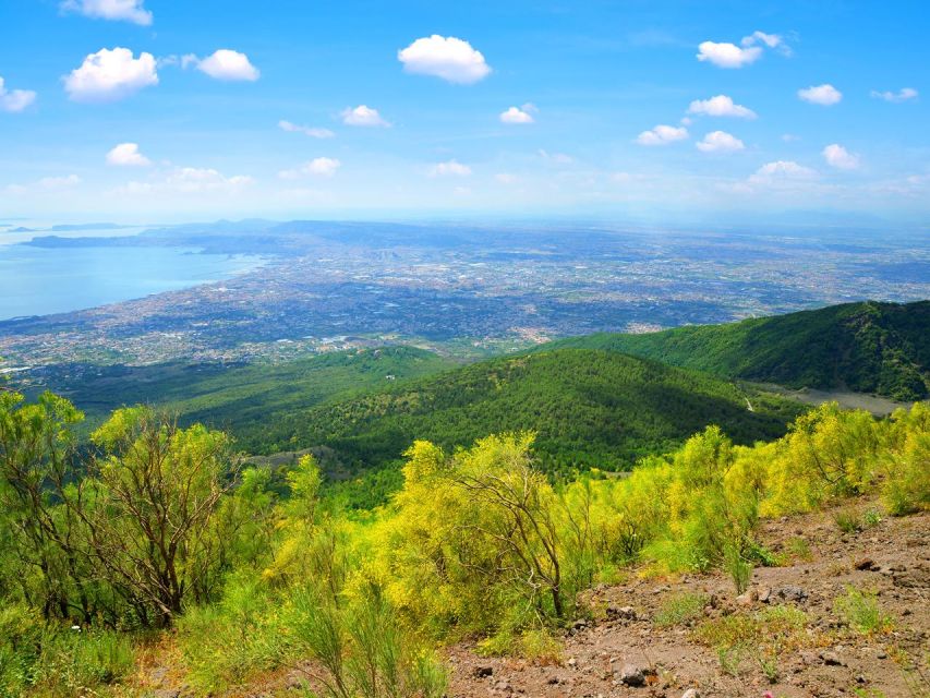 Pompeii: Mount Vesuvius Park Entry Ticket and Transfer - Booking and Cancellation Policy