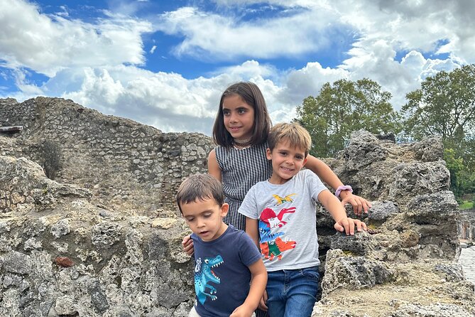 Pompeii Private Tour From Naples Cruise, Port or Hotel Pick up - Professional Tour Guidance