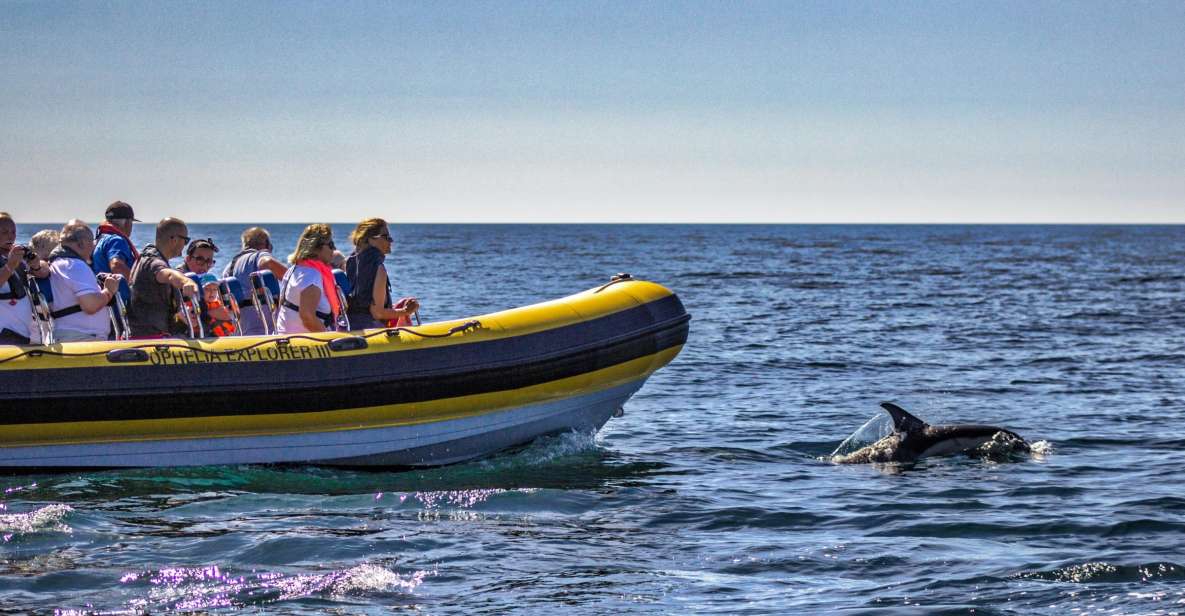 Portimão: 2-Hour Dolphin Watching Boat Tour - Discovering the Benagil Caves