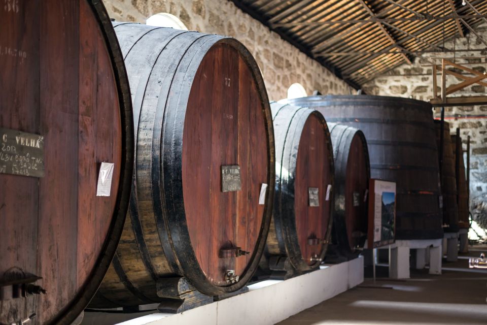 Porto: City Train Tour, River Cruise & Wine Cellar - Pricing and Booking Options