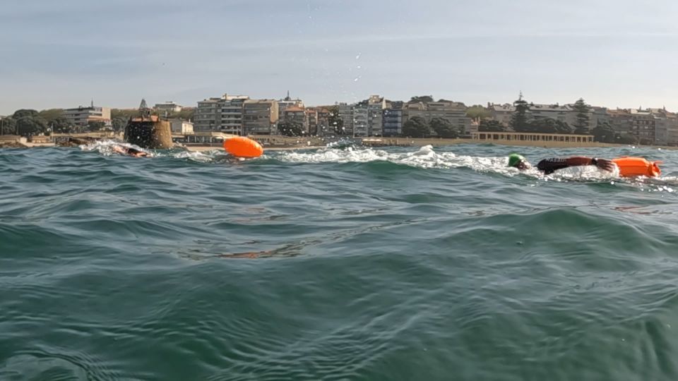 Porto: Open Water Swimming Tour With Wetsuit - Marine Life