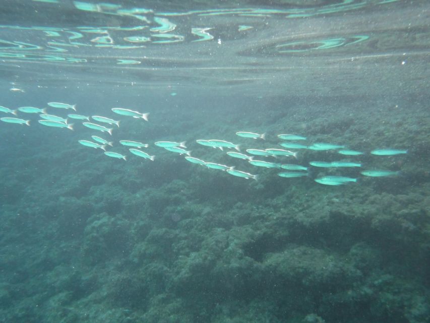 Porto Torres: Snorkeling in Balai Bay - Safety and Age Restrictions