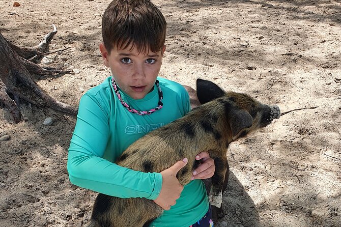 Powerboat and Snorkel Experience With Swimming Pigs and Turtles - Tips for Travelers