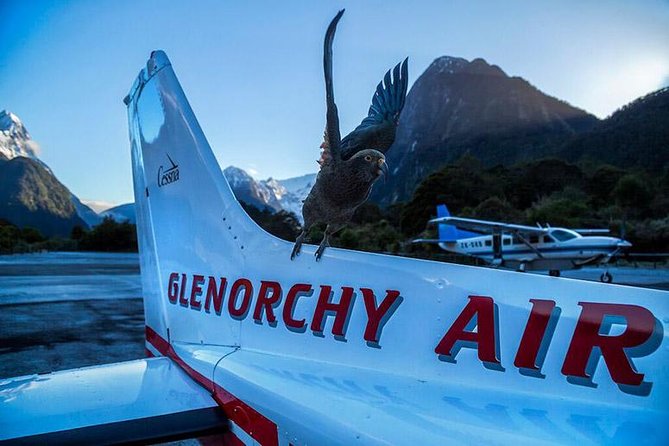 Premium Milford Sound Small Group Tour From Queenstown - Wildlife Sightings