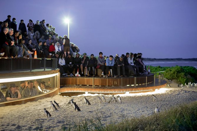 Premium Phillip Island Penguin Parade Tour With Koala Conservation Reserve - Tour Policies and Considerations