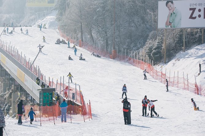 Private 1:1 Ski Lesson Near Seoul, South Korea - Transportation and Pickup Details