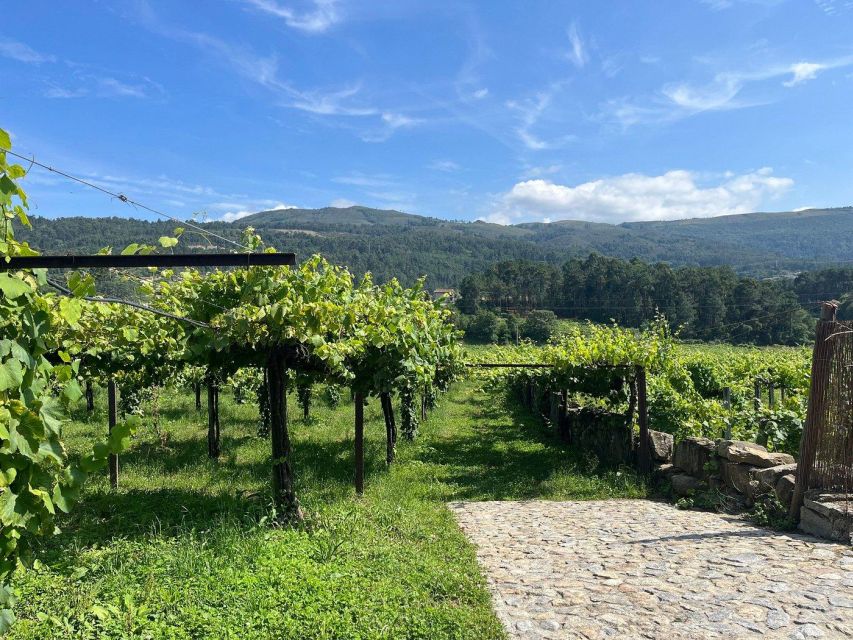 Private Alvarinho Route Tour - Pickup Location