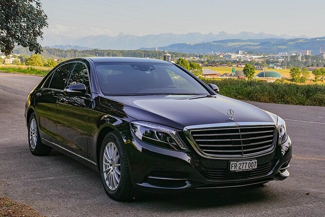 Private Arrival Transfer: From Zurich Airport to Zurich City - Hotel Drop-off