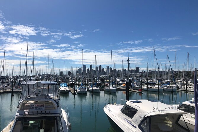 Private Auckland Half Day Tour - Customer Reviews