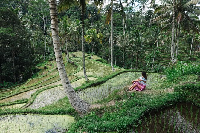Private Bali Car Charter With Driver up to 6 People - Booking Confirmation and Private Tour