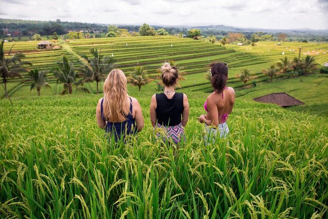 Private Bali Tour: The Most Scenic Places - Pura Luhur Batukaru