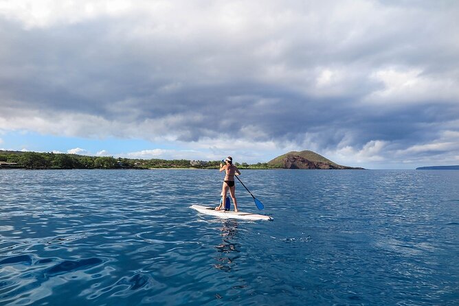 Private Beginner Paddleboard 101 Lesson- Polo Beach, Turtle Town! - Wildlife Encounters on the Tour