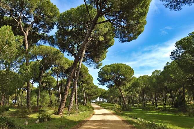 Private Birding & Photography Day Trip to Doñana - Practical Information for Booking