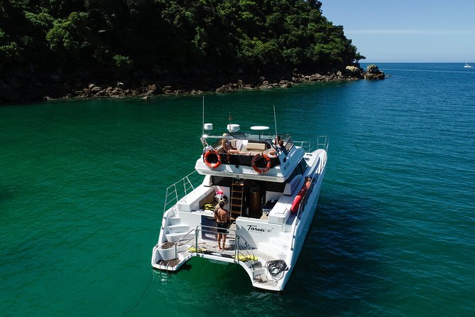 Private Boat Charter in Abel Tasman National Park - Wildlife and Scenery