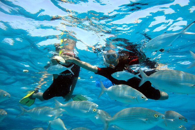 Private Catamaran Trips to Lobos Island in Lagoon 400 - Contact Information