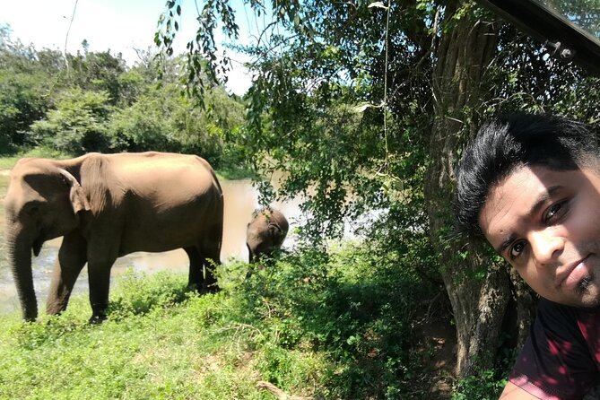 Private Dambulla Sigiriya Tour From Kandy With Friendly Chauffeur - Transport and Vehicle Information