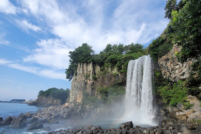 Private Day Tour in West & South Very Experienced Driver in Jeju - Booking Process