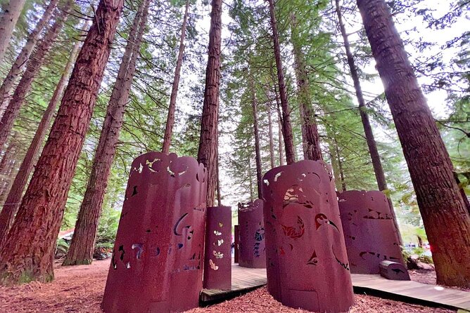 Private Day Trip To Te Puia Rotorua - Tips for Your Visit