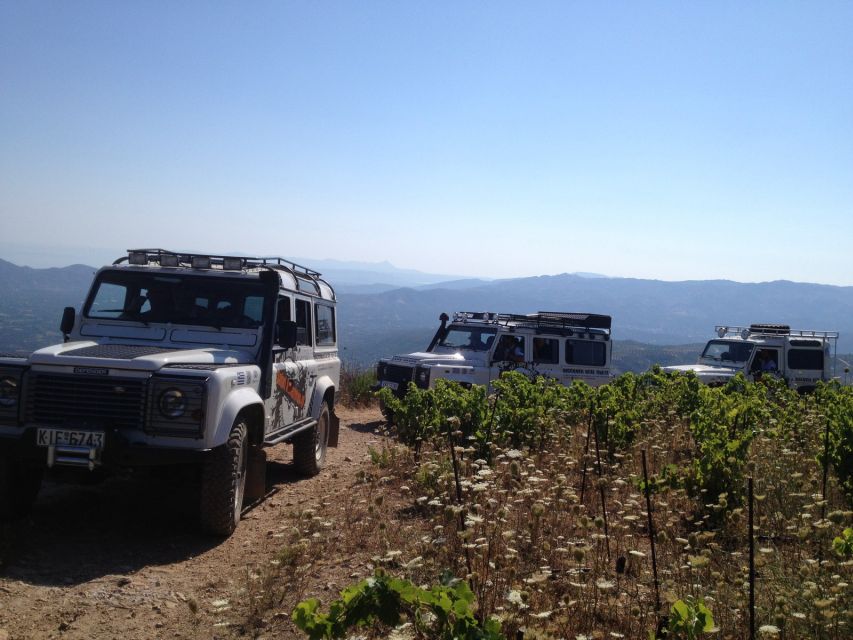 Private Exclusive Manousakis Winery and Vineyard Tour - Customer Reviews and Ratings