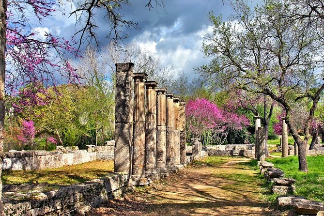 Private Excursion to Ancient Olympia - Bee Farm & Winery - Traveler Experiences
