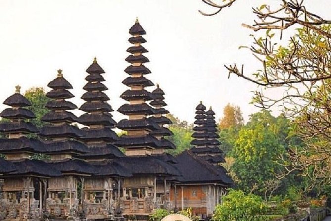 Private Full-Day Tour Jatiluwih Rice Terrace and Tanah Lot Temple - Customer Reviews