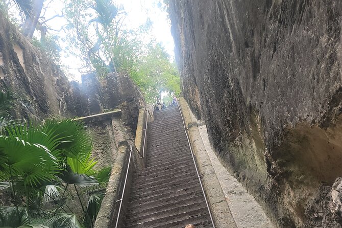 Private Guided Tour Around Nassau, The Bahamas - Booking Information and Tips