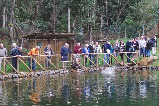 Private Half-Day 4X4 Experience: East or West - Flexible Pickup Options