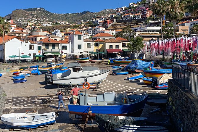 Private Half Day Madeira Tour (Mercedes Viano/Vito) - Madeira Botanical Garden