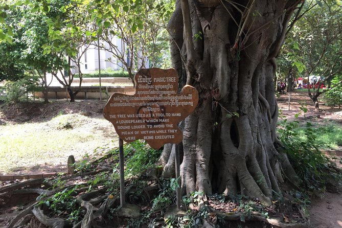Private Half Day To Killing Field & S21 Genocidal Museum in Phnom Penh - Tranquil Reflection