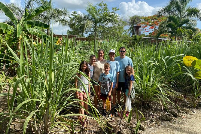 Private Half Day Tour in Dominican Republic With Local Guide - Why Choose a Private Tour